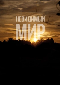 Невидимый мир (2012)