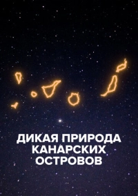 Дикая природа Канарских островов (2021)