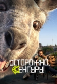 Осторожно, Кенгуру! (2020)