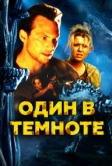Один в темноте (2004)